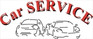 Logo Car Service Srl